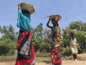 Migrantworkers