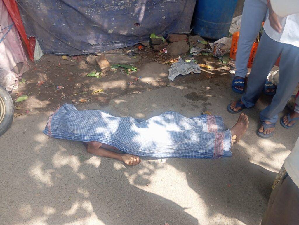 अजगर सांप ने एक ब्यक्ति का गला घोंटा ब्यक्ति की मौत 2 अजगर सांप से मौत