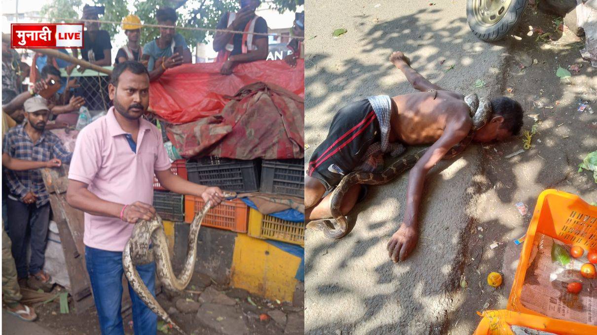 अजगर सांप ने एक ब्यक्ति का गला घोंटा ब्यक्ति की मौत 1 अजगर सांप से मौत