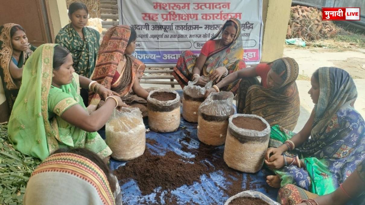 गोड्डा मशरूम उत्पादन