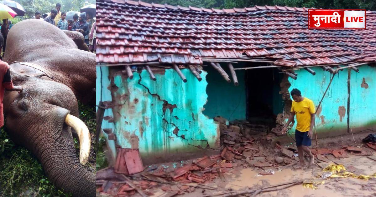 हाथी की संदिग्ध मौत
