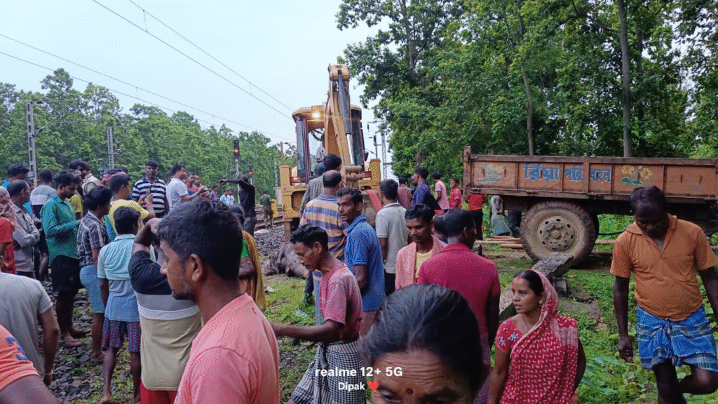 रेलवे ट्रैक बना तीन निर्दोष हाथियों की कब्र, जमशेदपुर-बंगाल सीमा पर दिल दहला देने वाला हादसा 8 image 19