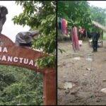 हाथियों का आतंक झारखंड