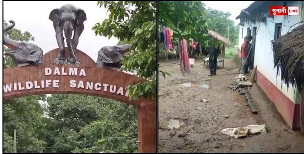 हाथियों का आतंक झारखंड