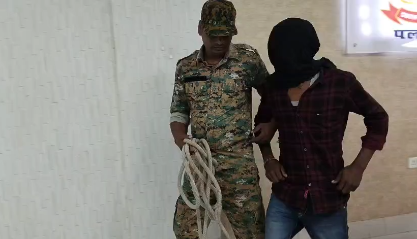 पलामू में रिश्तों का खूनी खेल: नाबालिग पत्नी ने प्रेमी संग मिलकर रचा कत्ल का जाल 7 image 16