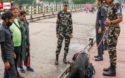 Bihar Elections 2025: Border Security