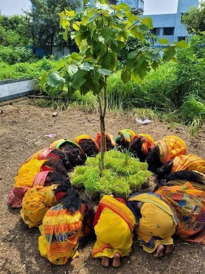 करमा पर्व : झारखंड की अस्मिता और परंपरा का प्रतीक 7 WhatsApp Image 2025 09 03 at 19.37.27