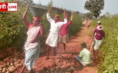 Administrative negligence