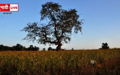 Jharkhand Weather Update