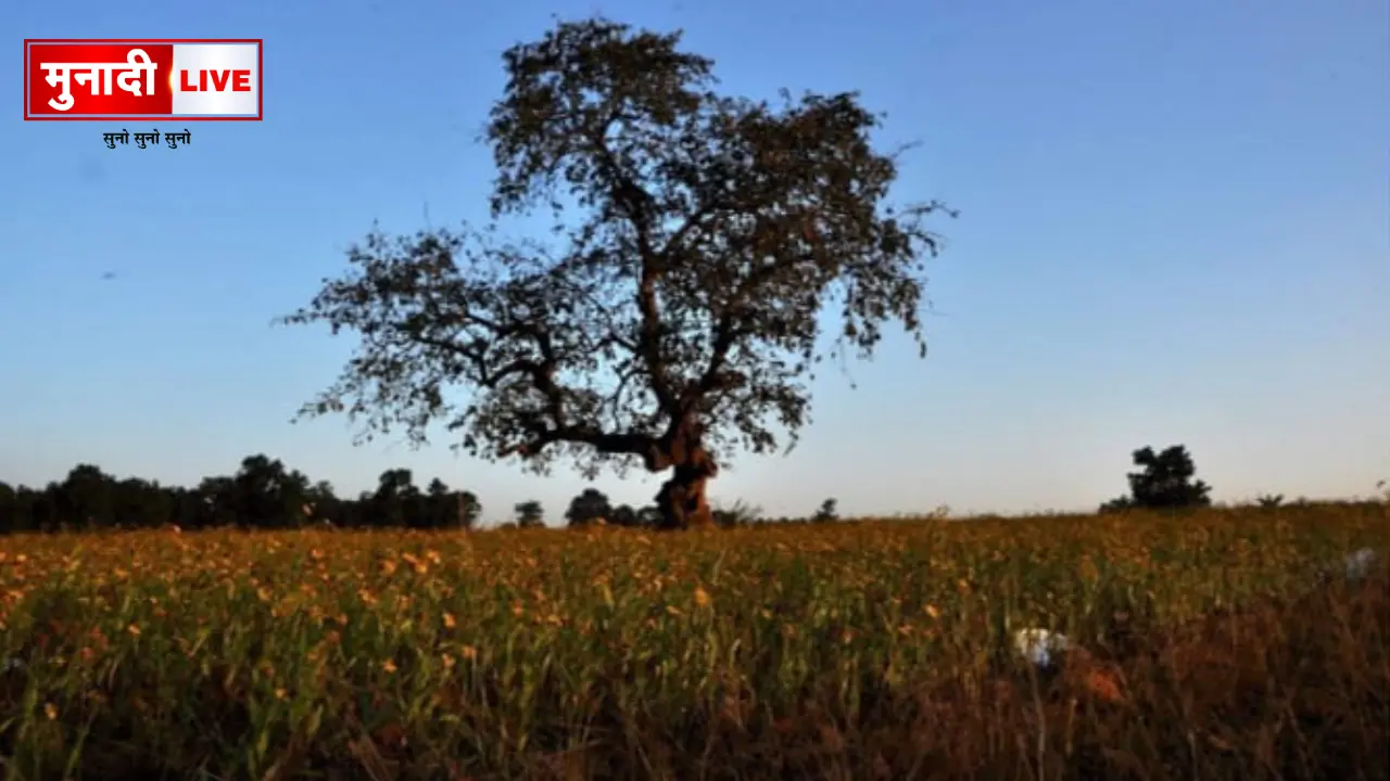 Jharkhand Weather Update