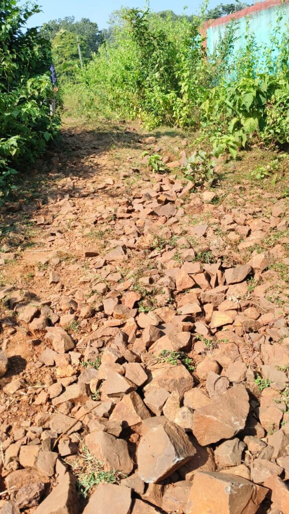 WhatsApp Image 2025 11 19 at 16.16.09