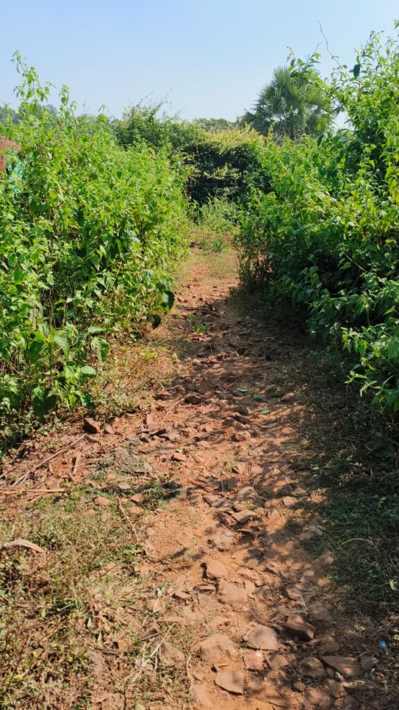 WhatsApp Image 2025 11 19 at 16.16.10 1