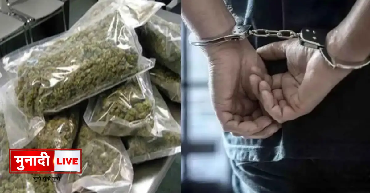 Drug Network Jharkhand