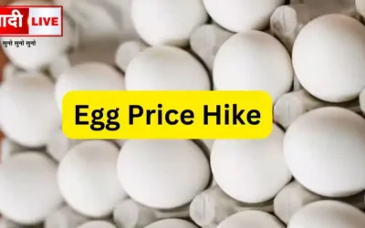 Egg Price Hike