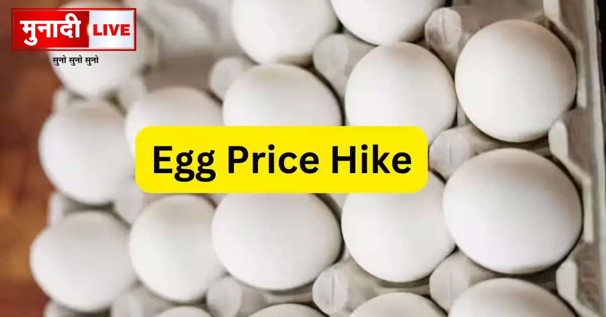 Egg Price Hike
