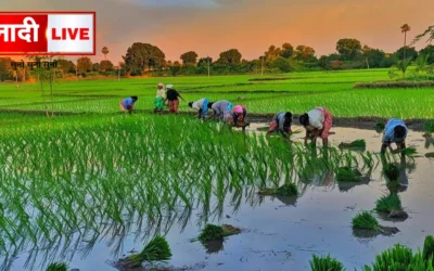 Jharkhand Agriculture