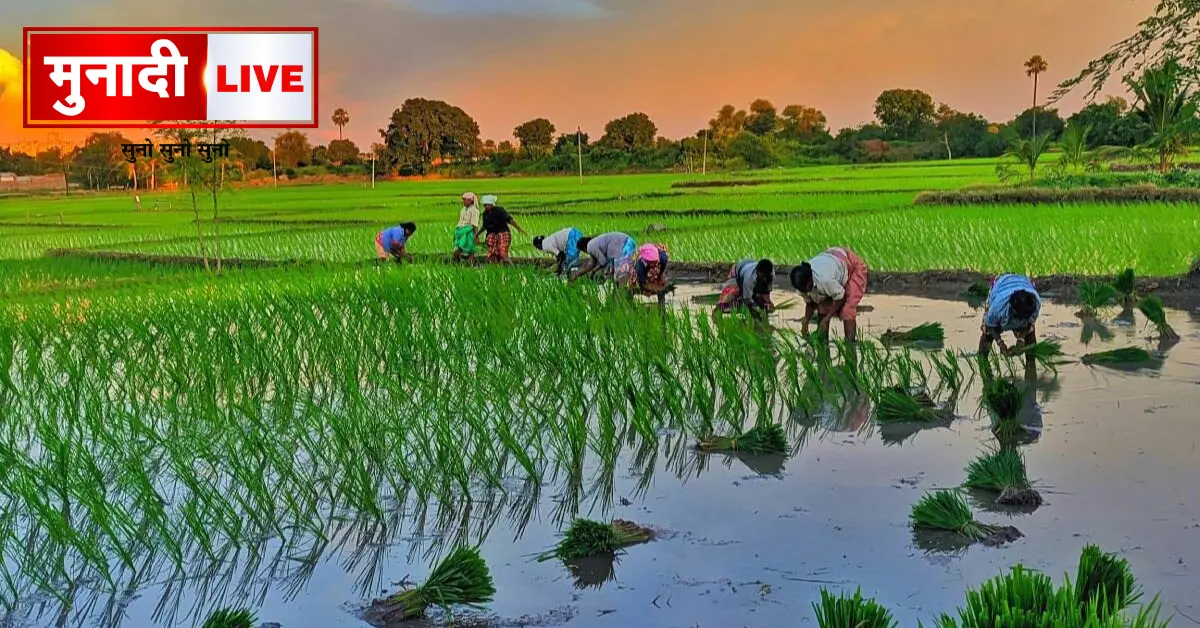 Jharkhand Agriculture