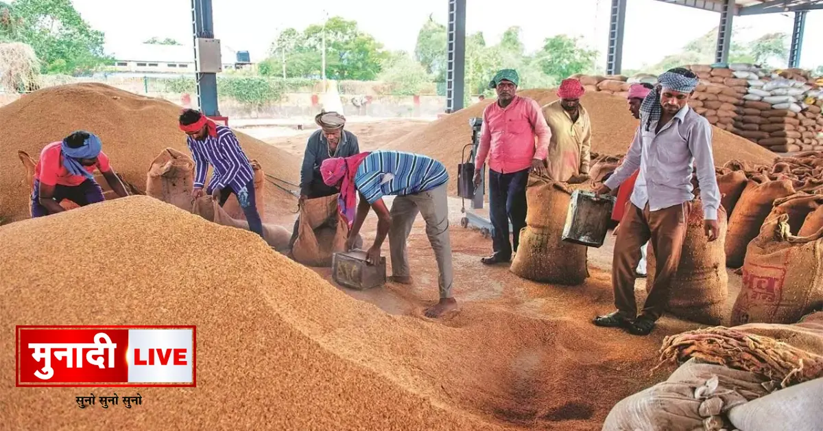 Paddy Procurement