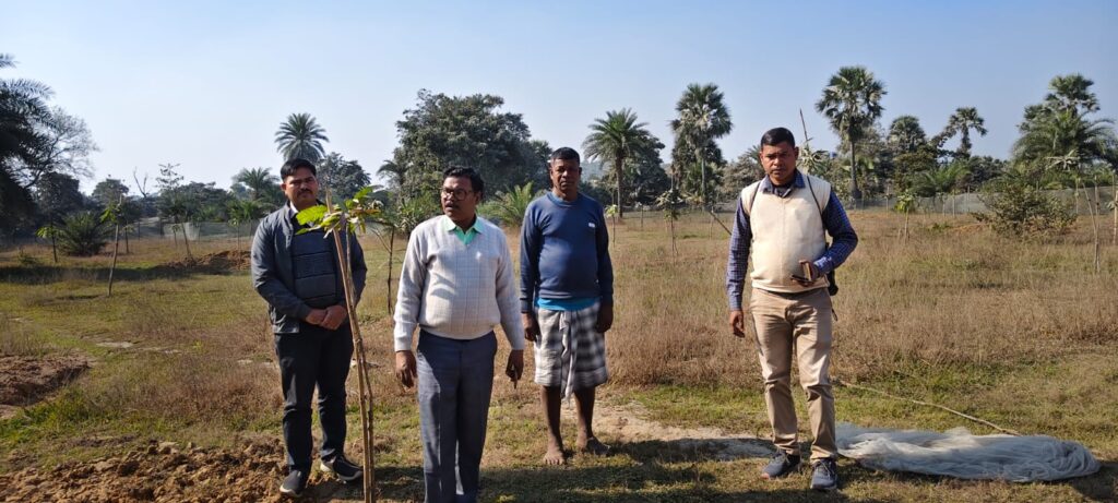 हिरणपुर के मंझलाडीह पंचायत में बीडीओ का निरीक्षण, मनरेगा व आवास योजनाओं की प्रगति का लिया जायजा 23 WhatsApp Image 2025 12 13 at 15.45.30