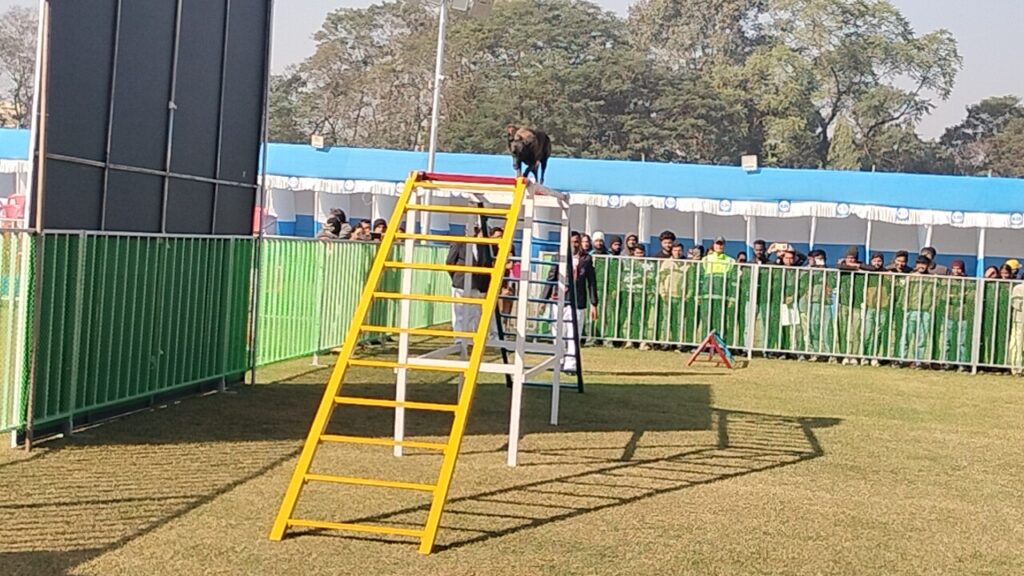 WhatsApp Image 2026 01 09 at 12.01.27