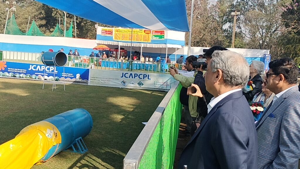 WhatsApp Image 2026 01 09 at 12.01.28