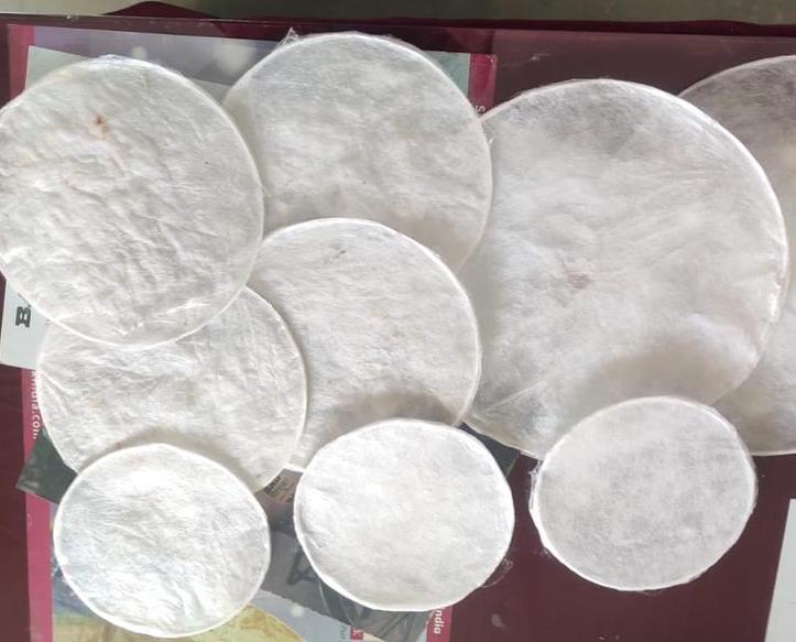 WhatsApp Image 2026 02 01 at 15.16.04 1