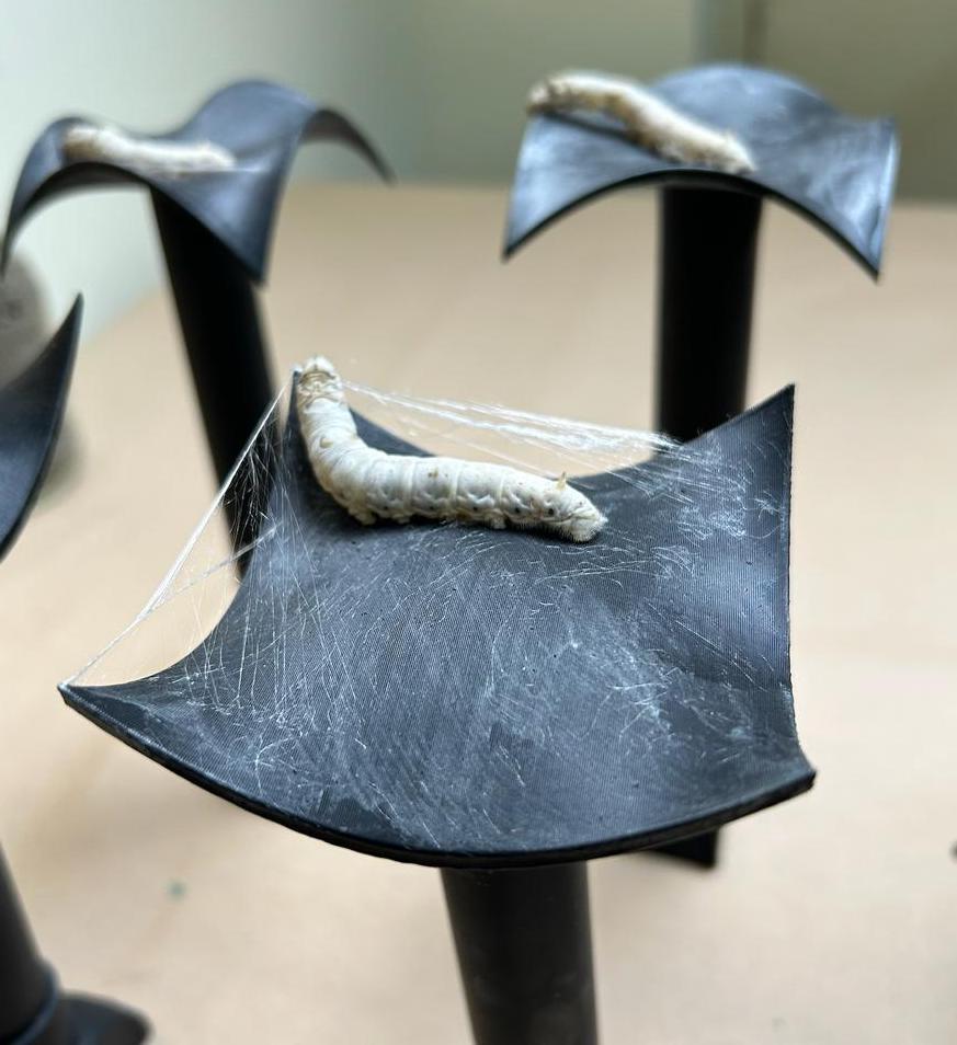 WhatsApp Image 2026 02 01 at 15.16.05