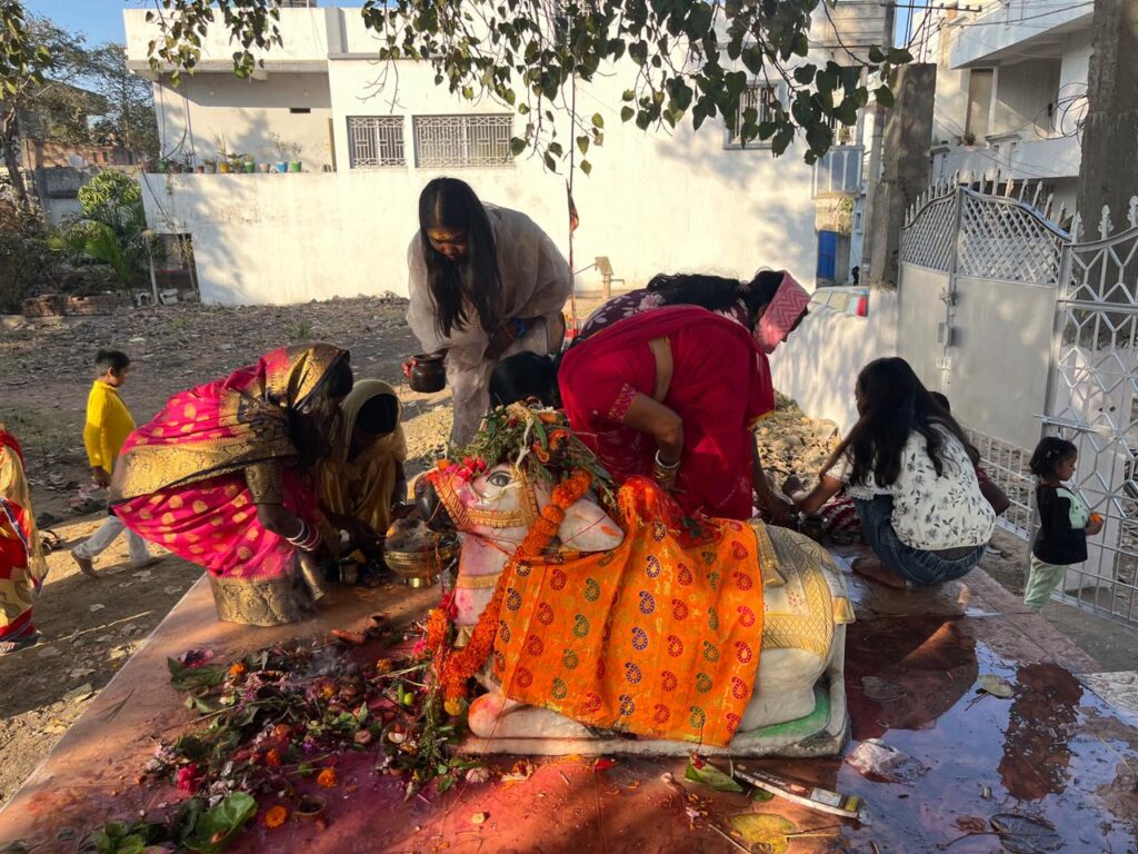 WhatsApp Image 2026 02 15 at 20.43.20