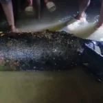 Baharagora Bomb News