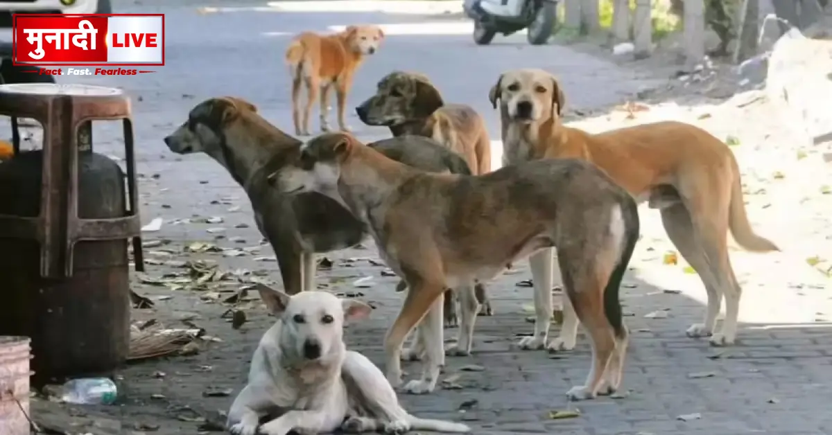 Supreme Court Dangerous Dogs Order