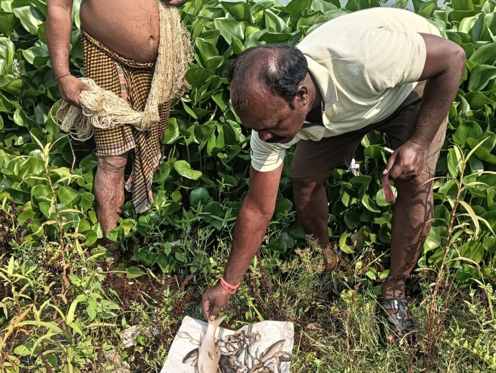 स्वर्णरेखा में मछलियों की मौत से बढ़ी चिंता: क्या शहर का गंदा पानी बन रहा है जहर? 28 WhatsApp Image 2026 05 03 at 15.08.06