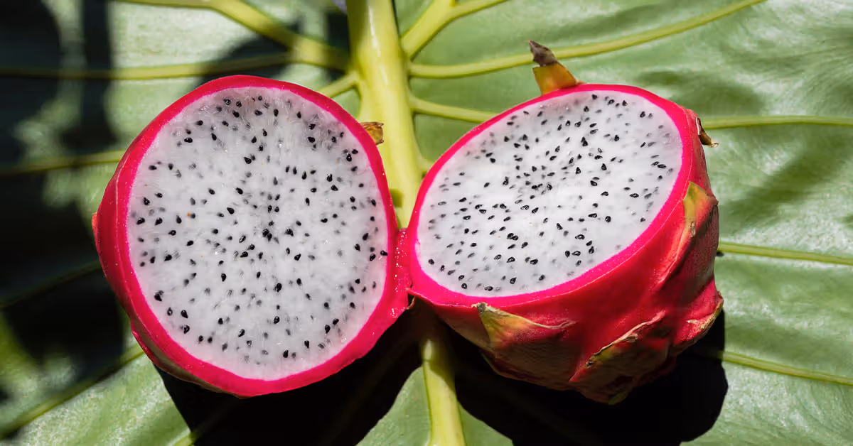 A pink pitahaya cut it in half Dragon Fruit facebook