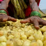 Benefits of Mahua