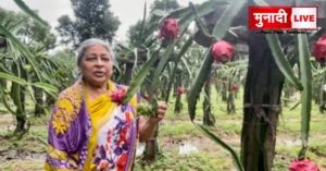 Dragon Fruit Farming