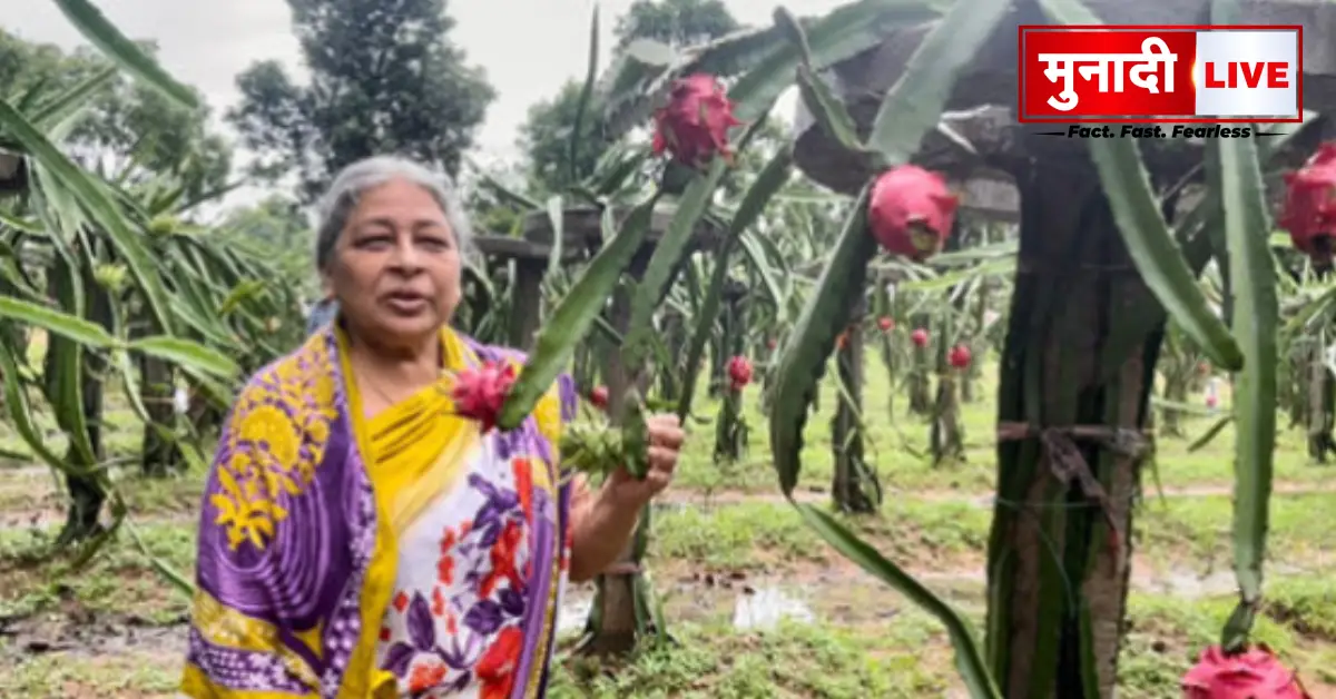 Dragon Fruit Farming