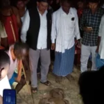 Garhwa Elephant Attack