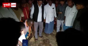 Garhwa Elephant Attack