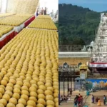 Tirupati Laddu Case