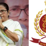 TMC Money Laundering