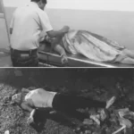 Bokaro DVC Colony shooting incident