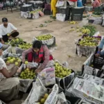 Netarhat Pear