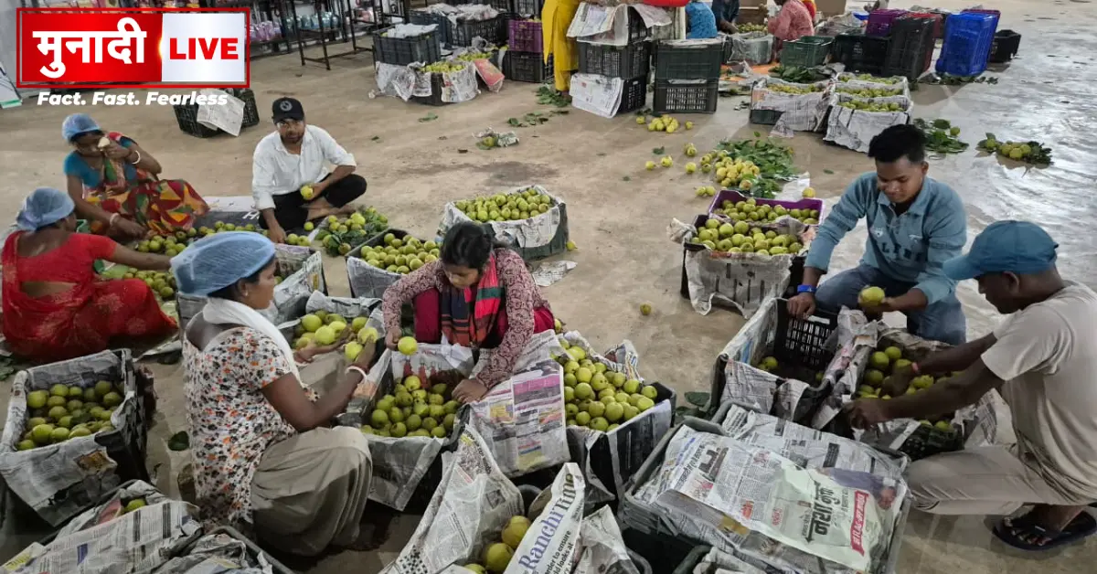 Netarhat Pear