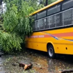 Tree falls on Ranchi school bus