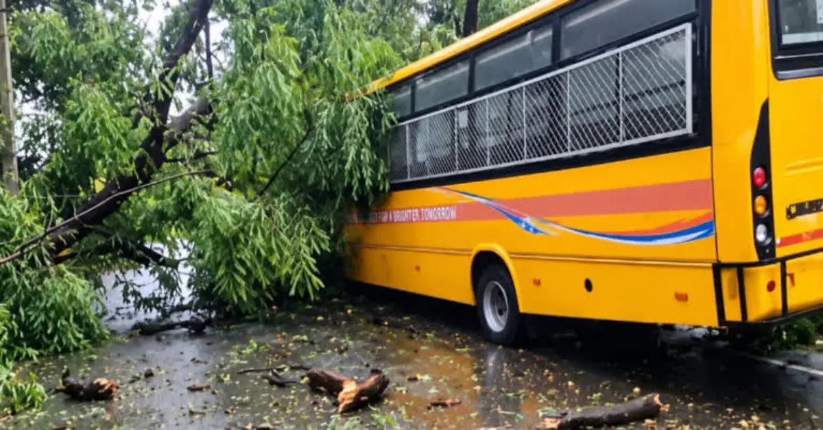 Tree falls on Ranchi school bus