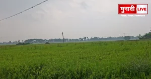रजौली में लगातार बारिश और तेज हवाओं से जनजीवन प्रभावित