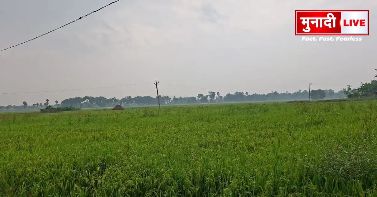 रजौली में लगातार बारिश और तेज हवाओं से जनजीवन प्रभावित