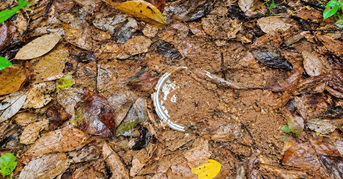 IED in Saranda Forest